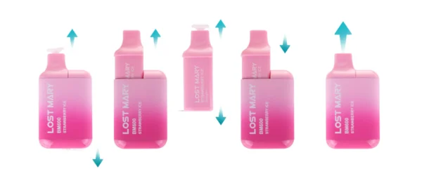 How to replace the lost mary bm600 refill pods